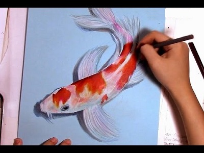colorazione delle Koi