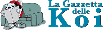 La Gazzetta delle Koi