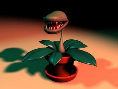 piante velenose