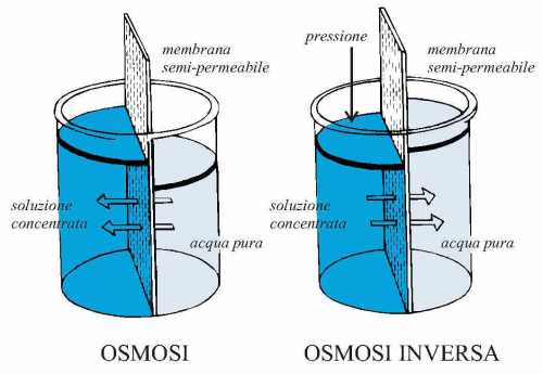 Osmosi e Osmosi inversa